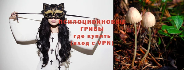 МДПВ Липки