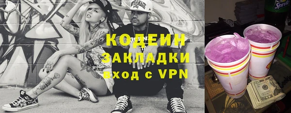 индика Лихославль